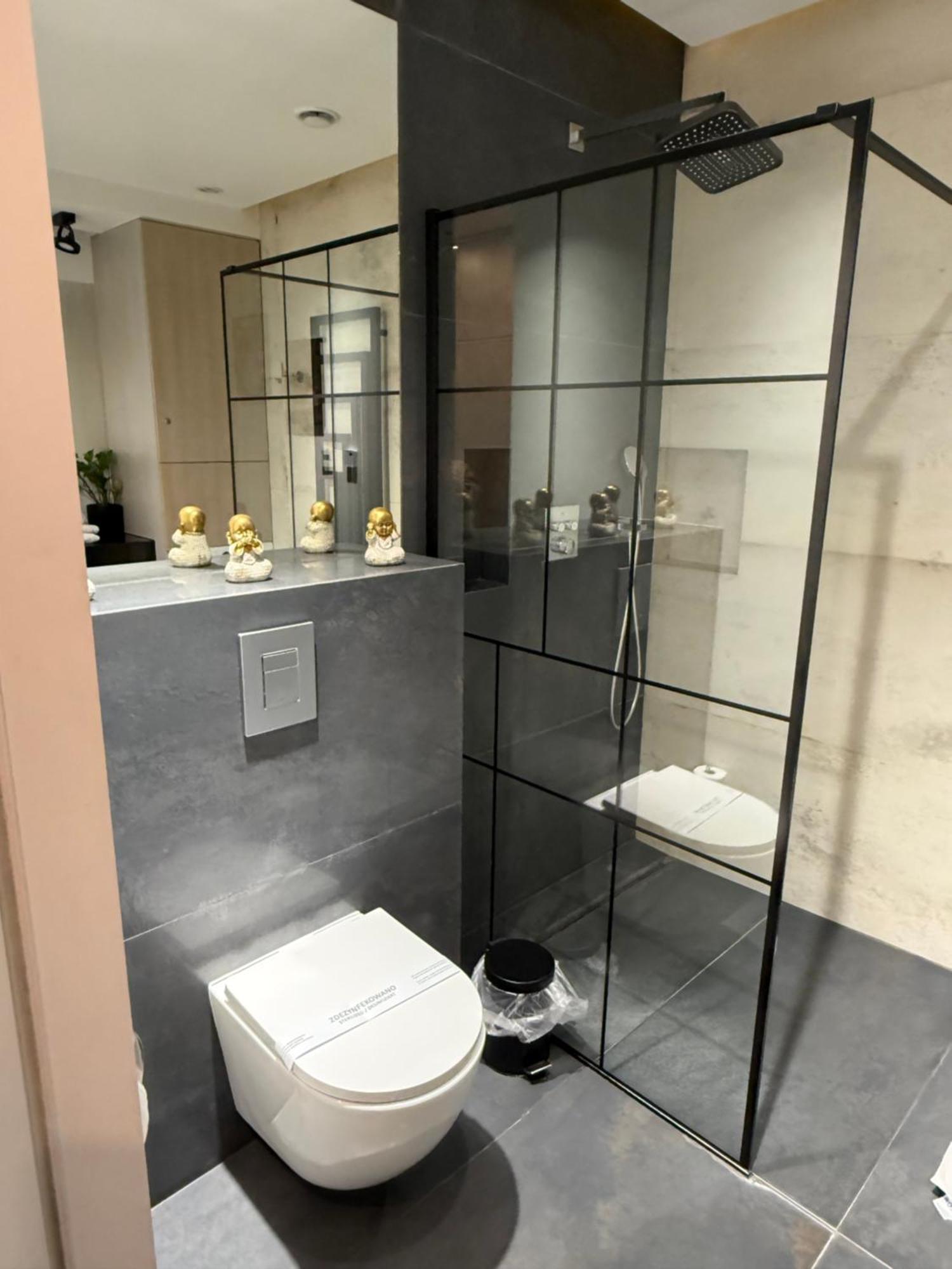 Aleja Wolnosci Apartment Nowy Sacz